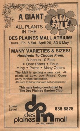 1982