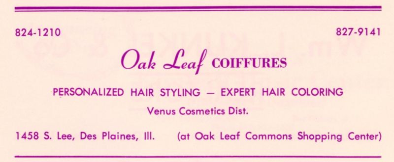 File:Oak Leaf Coiffiers 1968.jpg